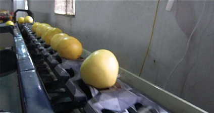 清洗打蠟風干機