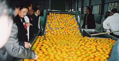 果蔬清洗機